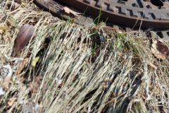 Kanaldeckel_30072021_6