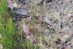 Kanaldeckel_30072021_9