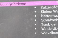 KR_1E_Appetitanregend