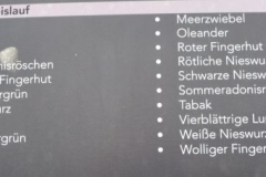 KR_3A_Herz_Kreislauf