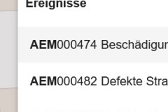AEM_Ereignis_Suchen