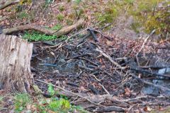 Graben_Plattenhecke_B1