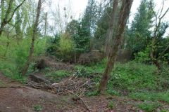 Graben_Plattenhecke_B10