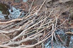 Graben_Plattenhecke_B4