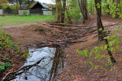 Graben_Plattenhecke_B5