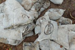 Graben_Plattenhecke_B7