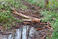 Graben_Plattenhecke_B9