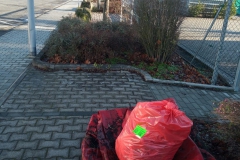 Aktion_11_01_2020_Abgelegt_Bauhof