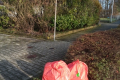 Aktion_11_01_2020_Abgelegt_Breidertring_Dessauer