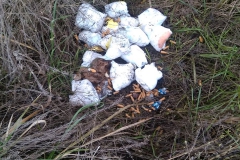 Sammelaktion_14_12_2019_5