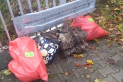 Umweltfreunde_11_09_11_2019