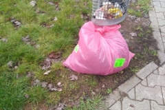 Umweltfreunde_12_09_11_2019