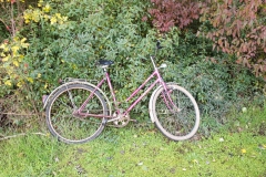 Umweltfreunde_13_09_11_2019