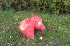 Umweltfreunde_14_09_11_2019