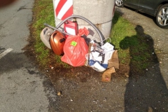 Umweltfreunde_15_09_11_2019