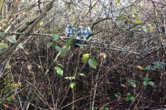 Umweltfreunde_3_09_11_2019