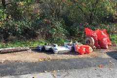 Umweltfreunde_5_09_11_2019