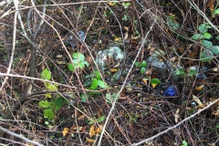 Umweltfreunde_6_09_11_2019