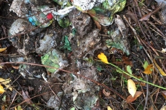 Umweltfreunde_9_09_11_2019