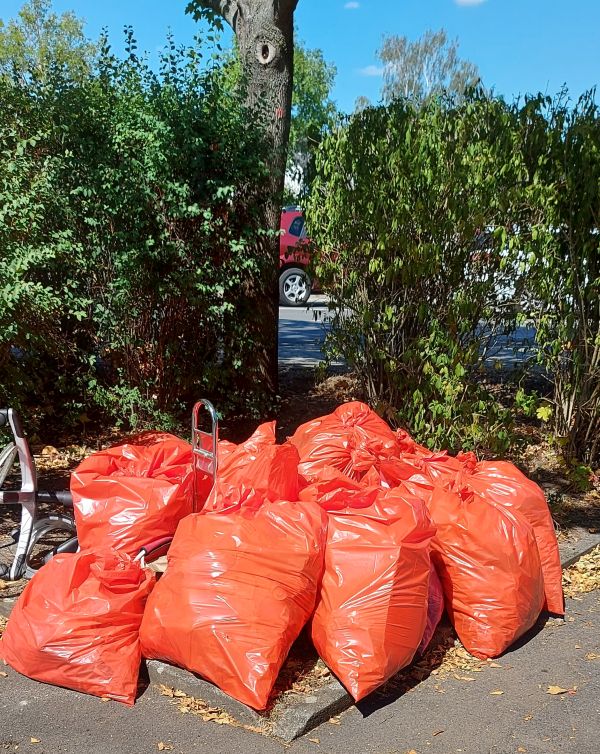 13_08_2022_Sammeln_Endergebnis_17_Saecke