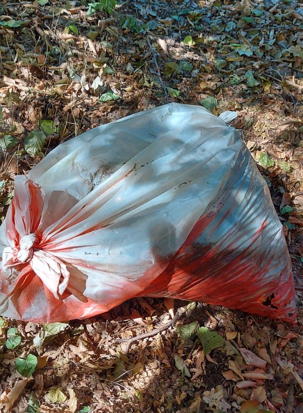 13_08_2022_Sammeln_Stinkender_Schwerer_Muell