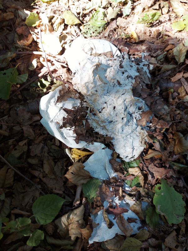 13_08_2022_Sammeln_Unter_Tempo_Kacke