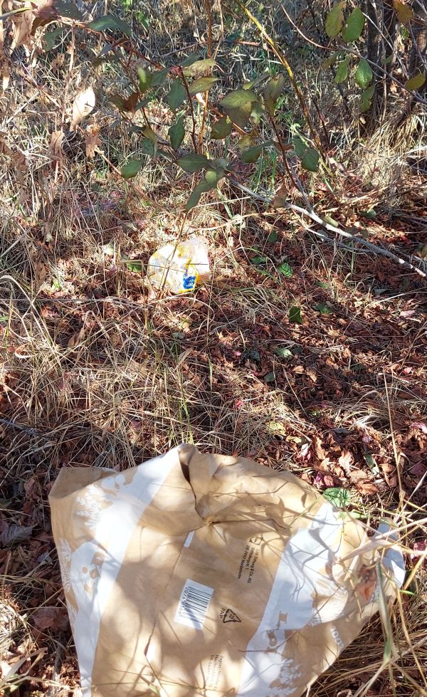 13_08_2022_Sammeln_im_Unterholz_4