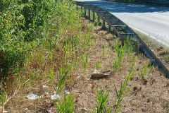 13_08_2022_Sammeln_Abfahrt_B45