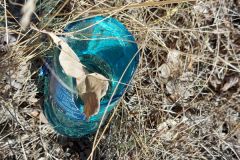 13_08_2022_Sammeln_Glas