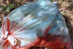 13_08_2022_Sammeln_Stinkender_Schwerer_Muell