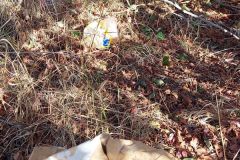 13_08_2022_Sammeln_im_Unterholz_4