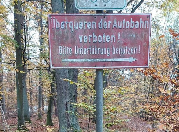 An der B45. Bild vom 15.11.2022