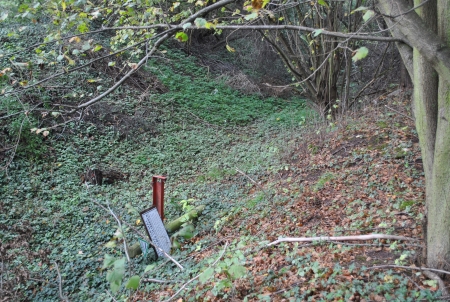 Naturdenkmal von naturgeschichtlichem Wert in Rödermark