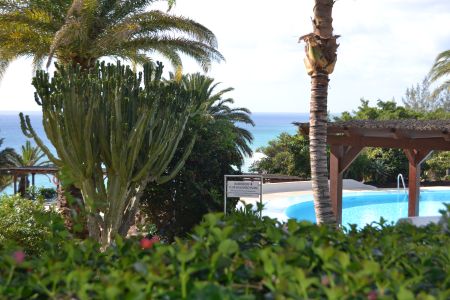 Fuerteventura ist staufrei