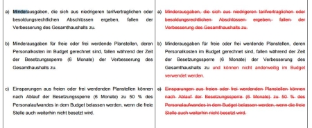 Richtlinien zur Ausführung des Haushaltes der Stadt Rödermark