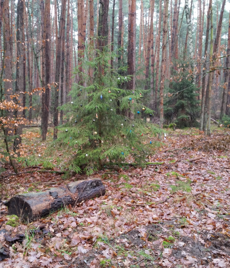 Ein Baum für die gute Fee