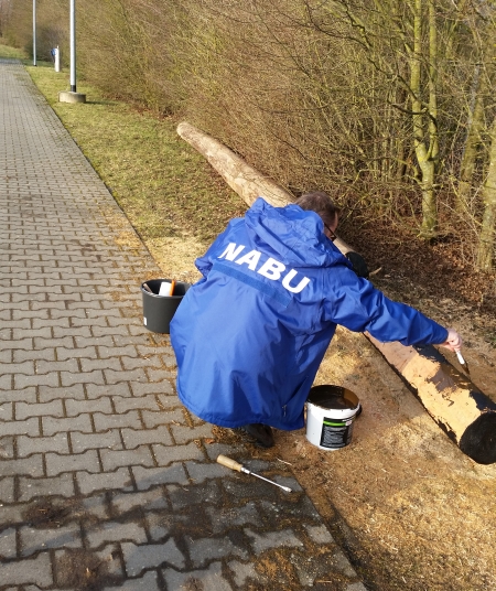Rüdiger Werner. Storchennest.
