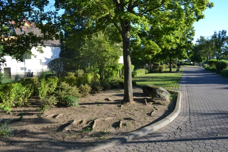 Bahnhof Münster