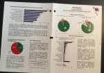 Stadtleitbild. Bürgerbefragung