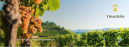 Tramin. Partnerstadt in Südtirol