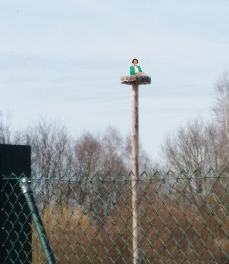 Partei der Bundesvorsitzenden B. Storch jetzt auch in Rödernark.
