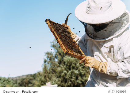 Bienen- und Imkerschutz