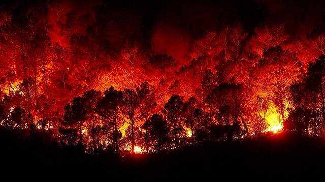 Waldbrand. Ist die Feuerwehr gerüstet?