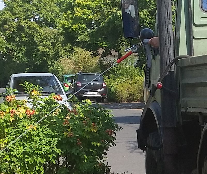  Betriebshofkollegen kommen mit dem Gießen kaum nach. Mit besserer Ausrüstung ging es evtl. schneller.