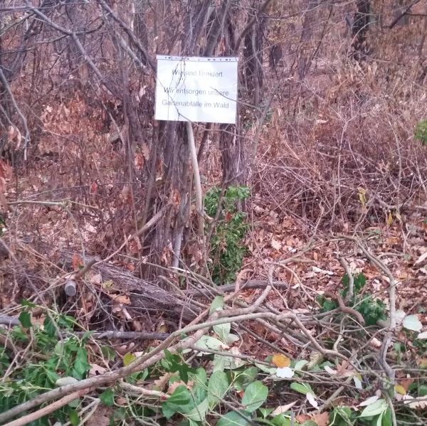 Müll im Wald. Wir machen mit.