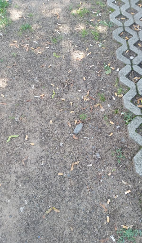 Zigarettenkippen. Irgendwo in Ober-Roden.