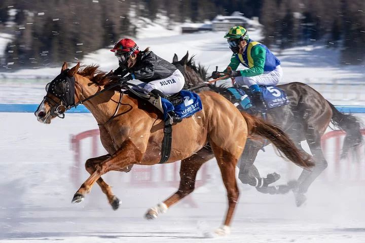 Kostengalopp in Rödermark