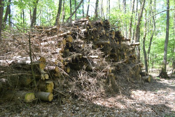 Wenn der Stapel in Brand gerät. Gott bewahre.