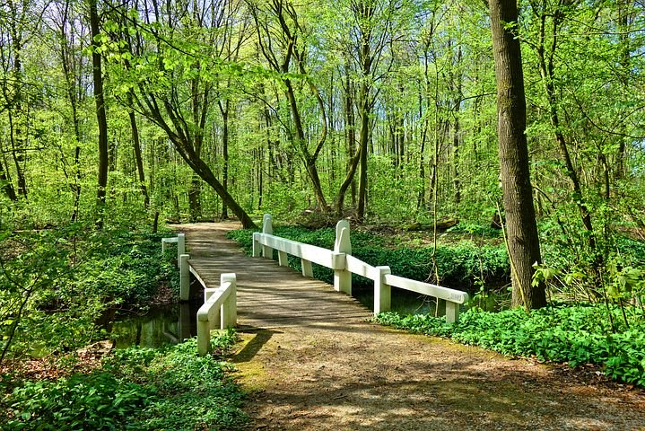 Holzbrücke. Symbolfoto.