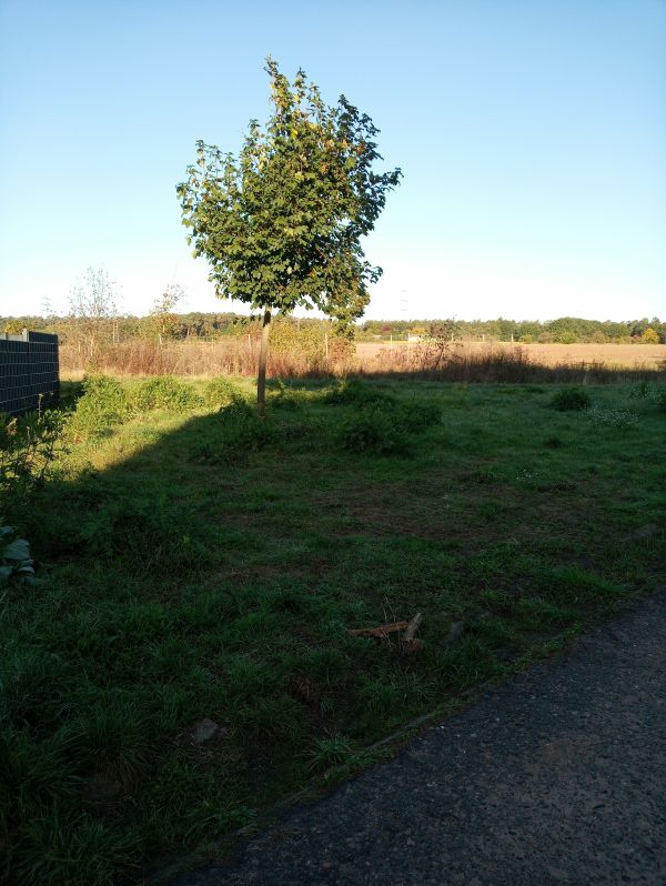 Ja wo ist er dann? Der Bewegungspark Rennwiesen